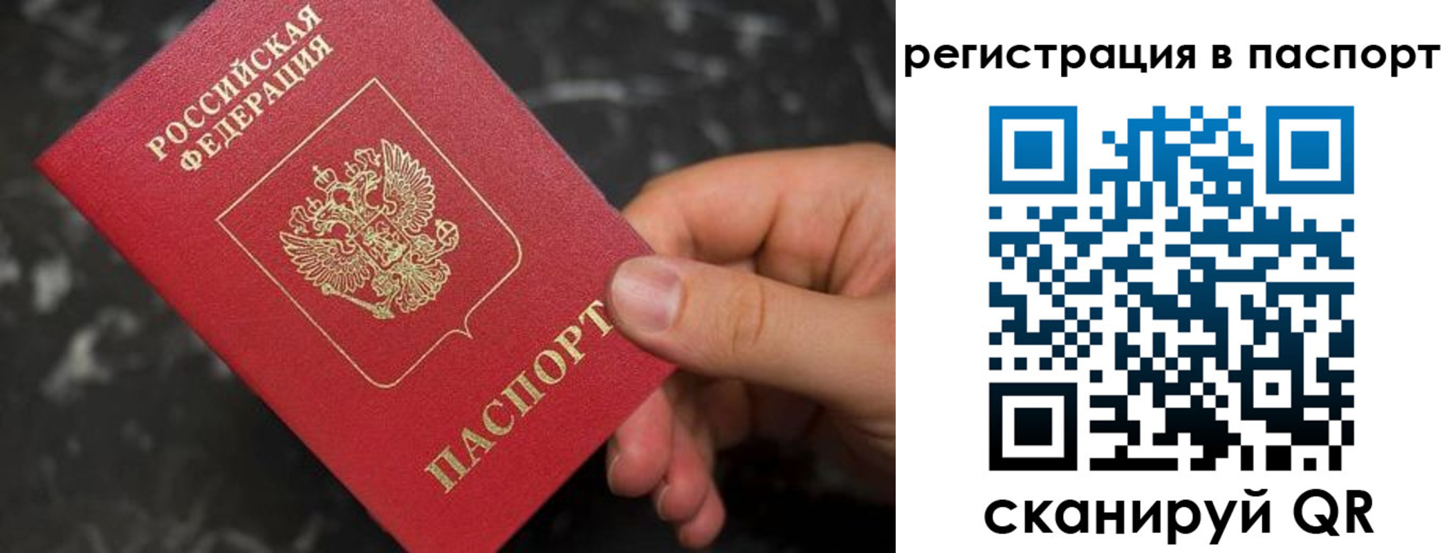 прописка для работы в Долгопрудном